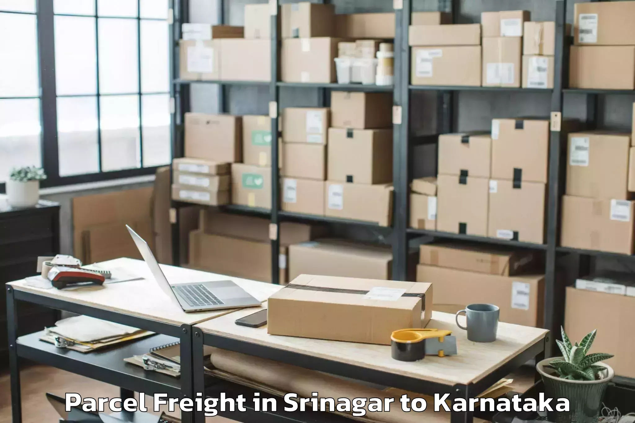 Book Your Srinagar to Hosadurga Parcel Freight Today